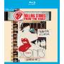 The Rolling Stones - From The Vault - Hampton Coliseum '81 (BR) [DE-Version, Regio 2/B]