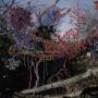 Animal Collective - Here Comes The Indian