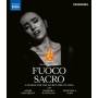 Schmidt-Garre / Jaho / Grigorian / Hannigan - Fuoco Sacro A Search for the Sacred Fire of Song [DE-Version, Regio 2/B]
