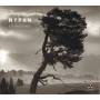 Nypan - Stereotomic