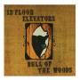 Thirteenth Floor Elevators - Bull Of The Woods (2CD)