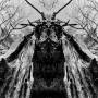 Rulaman - To Serve The Dune (ltd.gtf.green Transparent Lp)