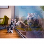 Pracht Creatives Hobby Gmbh - Diamond Painting Ktzchen Tiger 30x40 cm