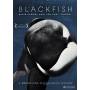 Blackfish - Blackfish (mc) Dvd [US-Version, Regio 1]