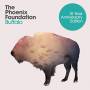 The Phoenix Foundation - Buffalo (Orange Colored)