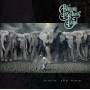 Allman Brothers Band - Hittin The Note