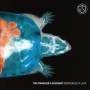 The Stargazer's Asssistant - Remoteness Of Light