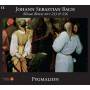Pygmalion - Missae Breves BWV 233 & BWV 236