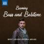 Various - Booming Bass and Baritone