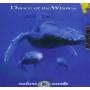 Dance Of The Whales - Nature Inside