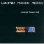 Lantner / Maneri / Morris - Voices Lowered