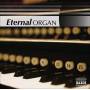 Eternal Organ - Eternal Organ / Various