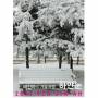 Tae Jin Ah - Winter Traveling: White Snow