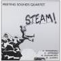 Meeting Sound - Steam
