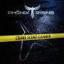 Phnix Rising - Crime Scene Cleaner