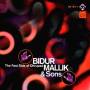 Bidur Mallik & Sons - The Fast Side Of Dhrupad