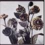 Heinz Sauer Quartet - Metal Blossoms
