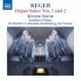 Kirsten Sturm - Orgelwerke Vol.12