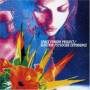 Space Funghi Project - Elektrik Psylocibe Experience