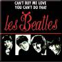 The Beatles - The Beatles Fridge Magnet: Can't Buy Me Love/you Can't Do That (french Release)