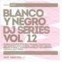 Various - Blanco Y Negro DJ Series Vol.12