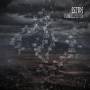 Sitd - Dunkelziffer