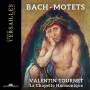 Valentin Tournet / La Chapelle Harmonique - Die Motetten