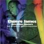 elmore James - Best Blues Masters 2