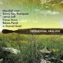Marshall Allen / Danny Ray Thompson / Jami Saft - Ceremonial Healing