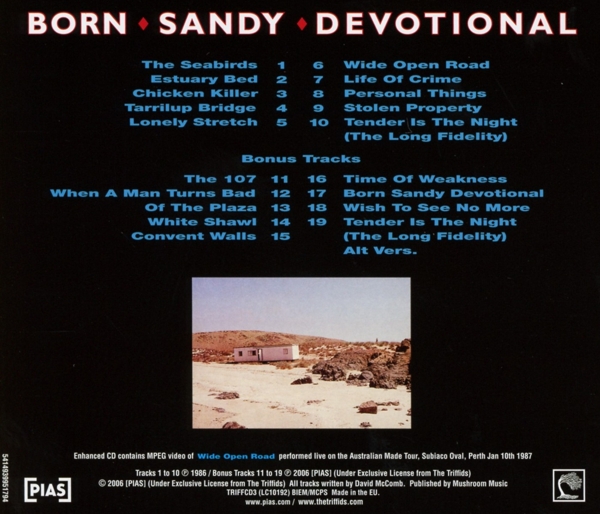 Born Sandy Devotional 1