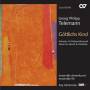 Johannsen / Ryden / Schwarz / Karasiak / Noack / Ensemble ST - Gttlichs Kind-Advents-Und Weihnachtsmusik