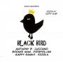 City Kay Pres. Various - Black Bird/big Slap Riddims