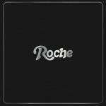 Various Artists - Back To The Groove - Roche Musique