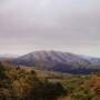 Dirty Projectors And Bjrk - Mount Wittenburg Orca