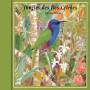 Birdsong - Jungles Of Sulawesi