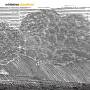 Whitetree - Cloudland