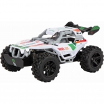 Carrera - RC 2,4GHz Team Rider