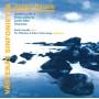 Sturflt / Ollikainen / Takacs-Nagy / Vsteras Sinfoniet - Portrait Anders Nilsson