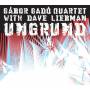 Gbor Gad Quartet With Dave Liebman - Ungrund