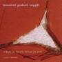 Biondini / Godard / Niggli - What Is There What Is Not