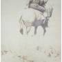Bruce Langhorne - Hired Hand / O.s.t.