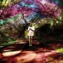 Sally Seltmann - Hey Daydreamer