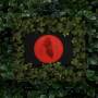 Moses Sumney - Live From Blackalachia