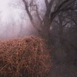 The Devil's Trade - Nincs Szennyezetlen Szp