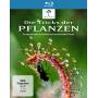 - - Die Tricks Der Pflanzen [Regio free (0)]