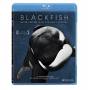 Blackfish - Blackfish Bd [US-Version, Regio 1/A]