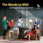 Consort Brouillamini - The Woods So Wild