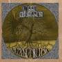 Been Obscene - The Magic Table Dance