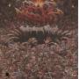 Grace Disgraced - Enthrallment Traced