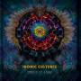 V / a - Ironic Cultures Compiled By Izzy & Cosinus
